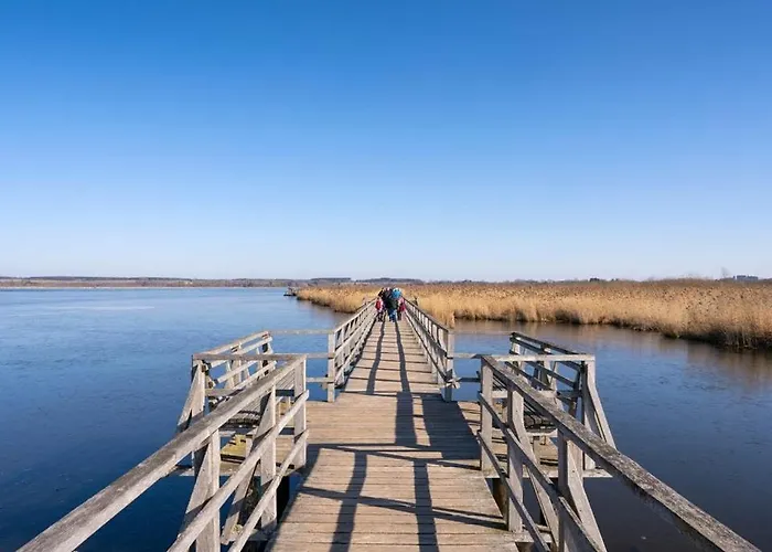 T2 Elegant Piscine *